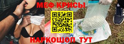 стафф Заводоуковск