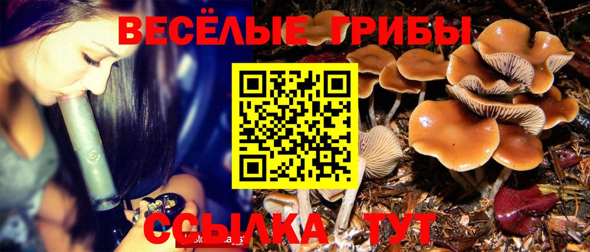 Галлюциногенные грибы MAGIC MUSHROOMS Мирный